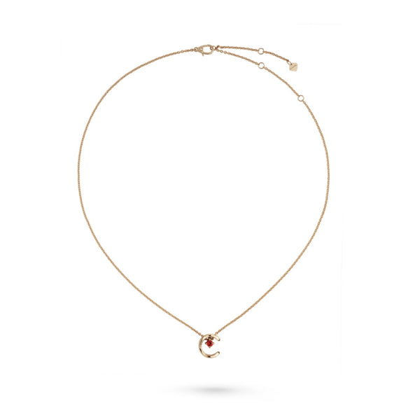 CHANEL Coco Necklace - J13043