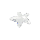 Swarovski Starfish Crystal-Swarovski Starfish Crystal -