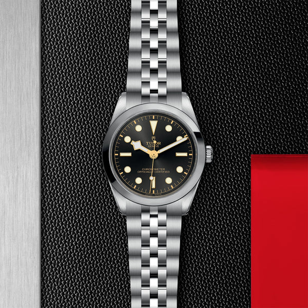 TUDOR ブラックベイ36 M79640 tudor-black-bay-36-steel-