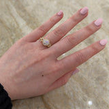 Round Brilliant Cut Diamond Diamond Halo Engagement Ring-Round Brilliant Cut Diamond Diamond Halo Engagement Ring