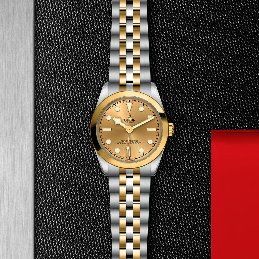 TUDOR Black Bay S&G Watch 