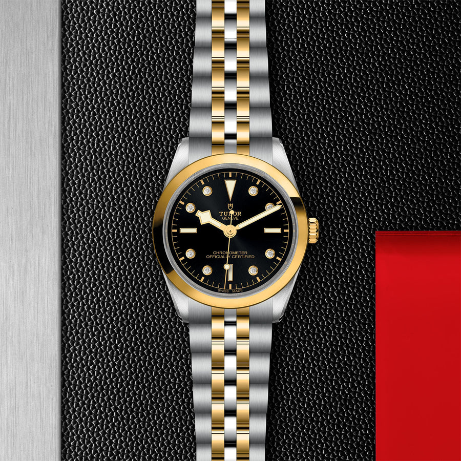TUDOR Black Bay S&G watch