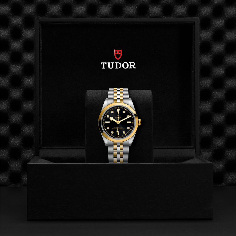 TUDOR Black Bay S&G watch M79643-0006