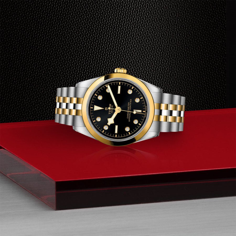 TUDOR Black Bay S&G watch