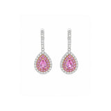 Pear Cut Pink Sapphire and Diamond Double Halo Huggie Drop Earrings-Pear Pink Sapphire and Diamond Double Halo Huggie Drop Earrings