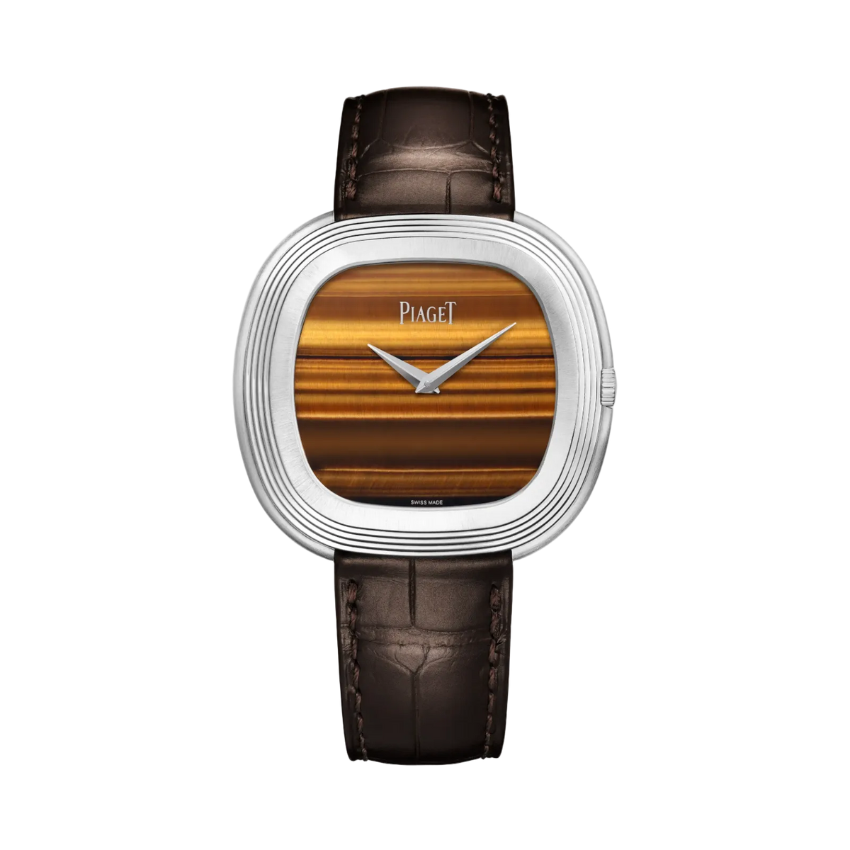 Piaget Andy Warhol Watch