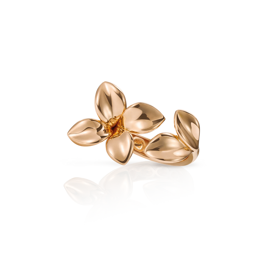 Pasquale Bruni Giardini Segreti Ring 16672R