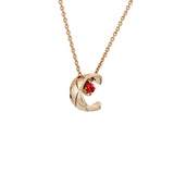 CHANEL Coco Necklace-CHANEL Coco Necklace - J13043