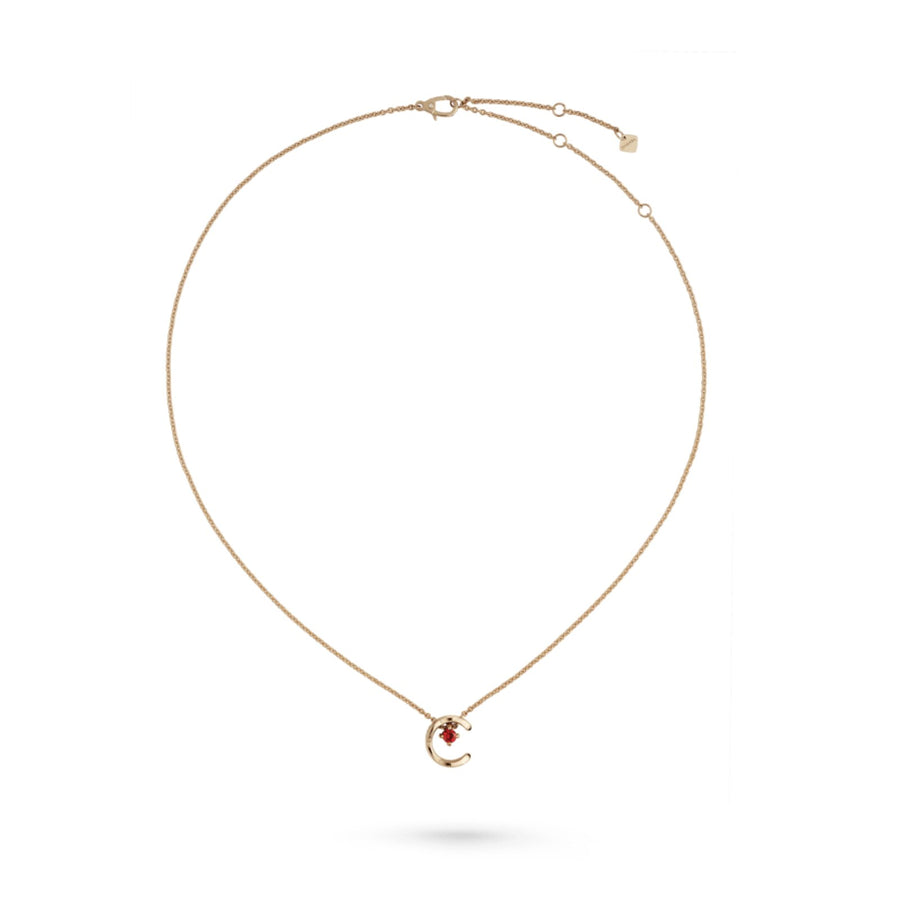 CHANEL Coco Necklace - J13043