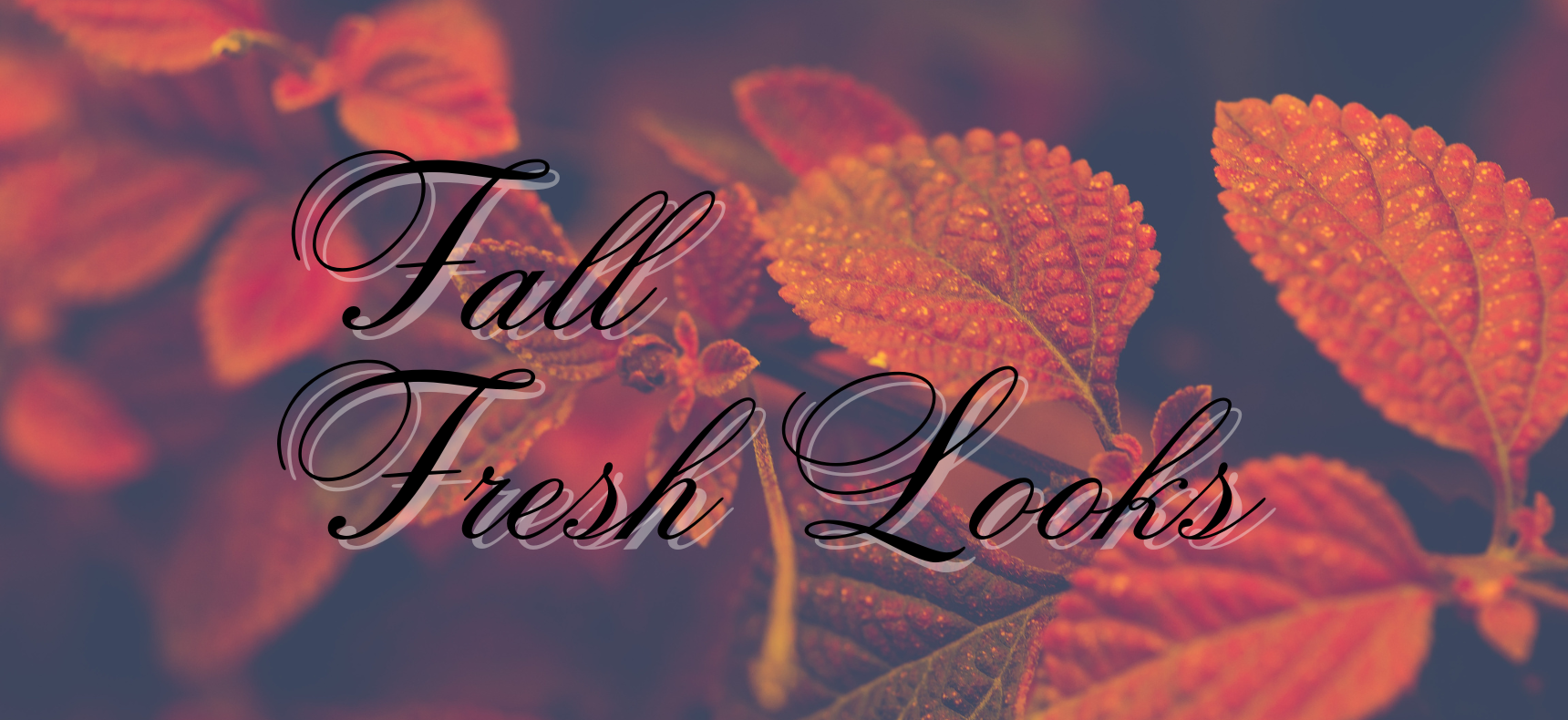 Fall Fresh Looks Banner