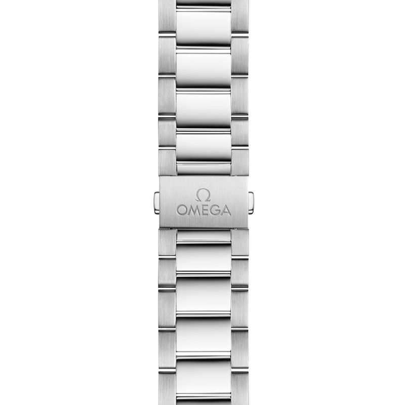 Omega Seamaster Aqua Terra 150m 41mm-Omega Seamaster Aqua Terra 150m 41mm 220.10.41.21.01.001