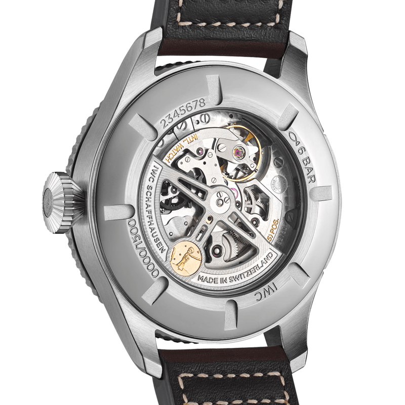 IWC Schaffhausen Pilot's Watch Timezoner Edition 