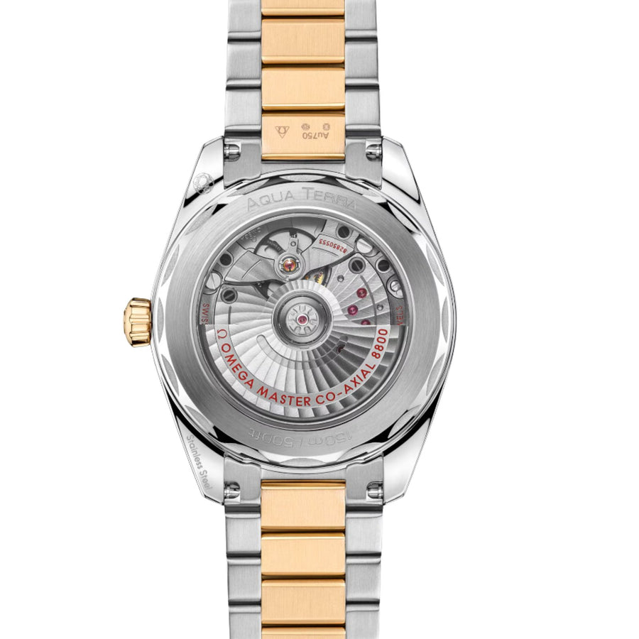Omega Seamaster Aqua Terra 150m - 220.20.38.20.10.002
