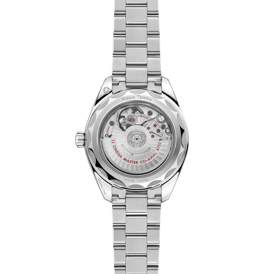 Omega Seamaster Aqua Terra 150m 30mm - 220.10.30.20.55.001