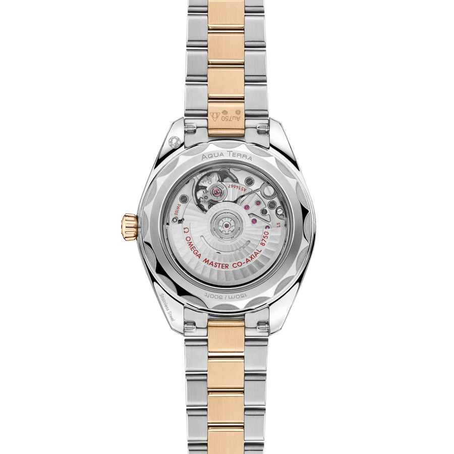 Omega Seamaster Aqua Terra 150m 30mm - 220.25.30.20.55.001