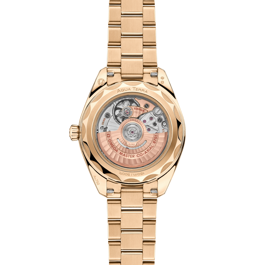 Omega Seamaster Aqua Terra 150m 30mm - 220.55.30.20.60.001