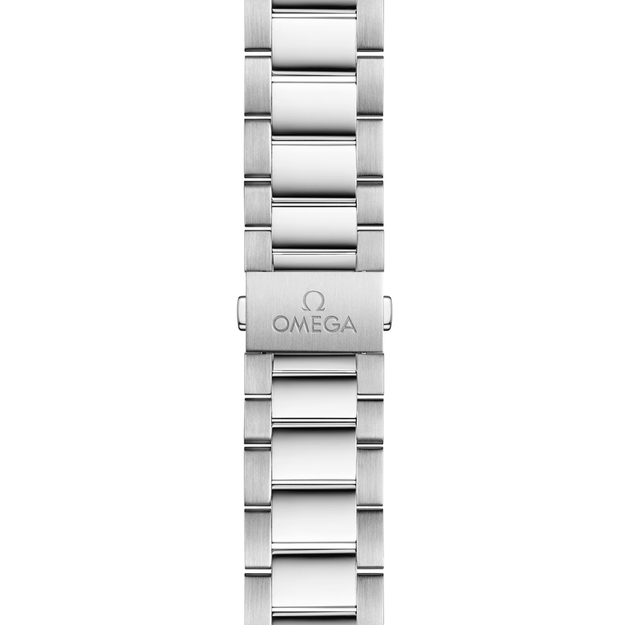 Omega Seamaster Aqua Terra 150m 41mm 220.10.41.21.01.001