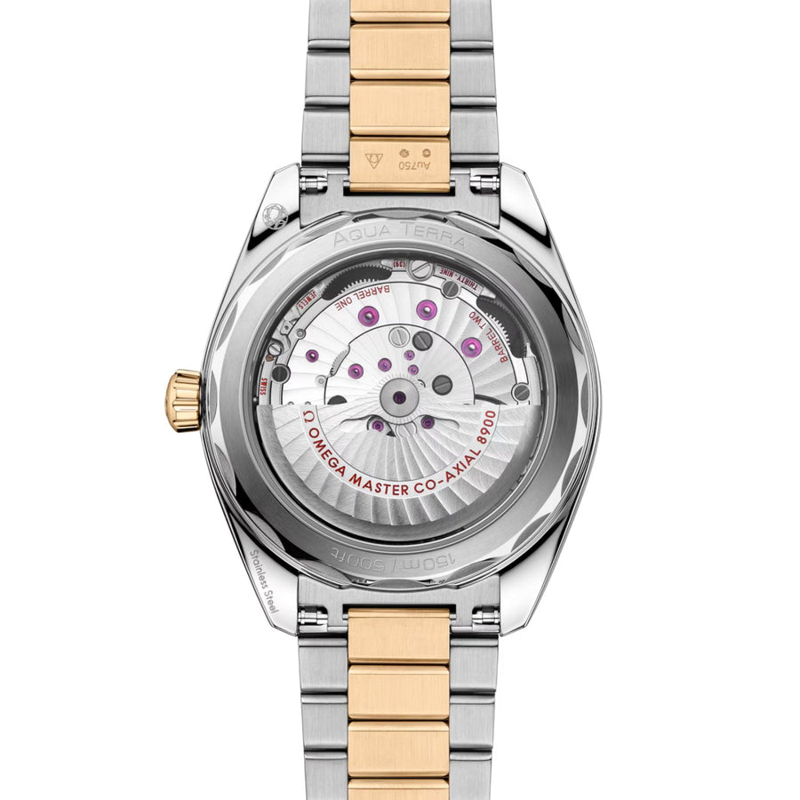 Omega Seamaster Aqua Terra 150m 41mm - 220.20.41.21.01.001