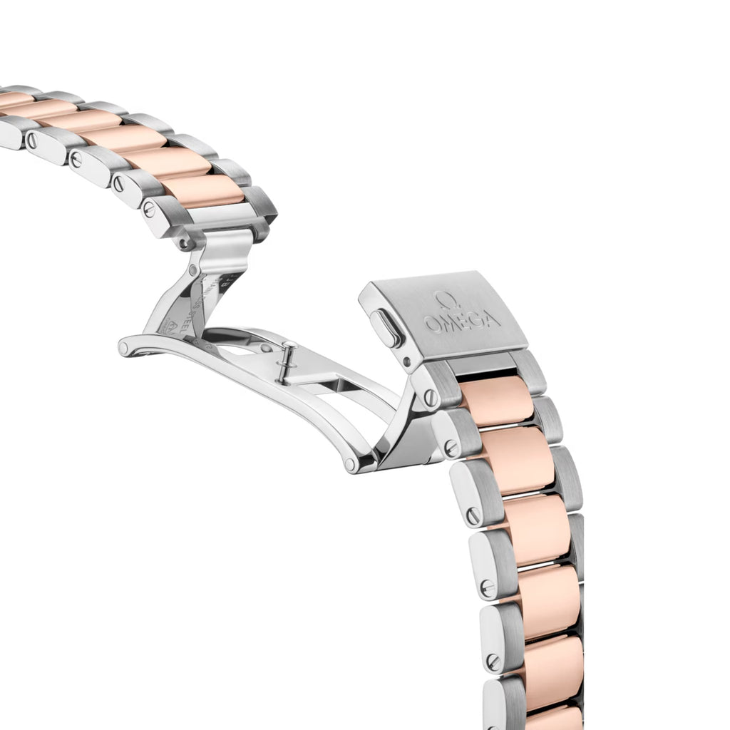 Bracelet Omega Ceramic Titanium Omega Seamaster Planet Ocean