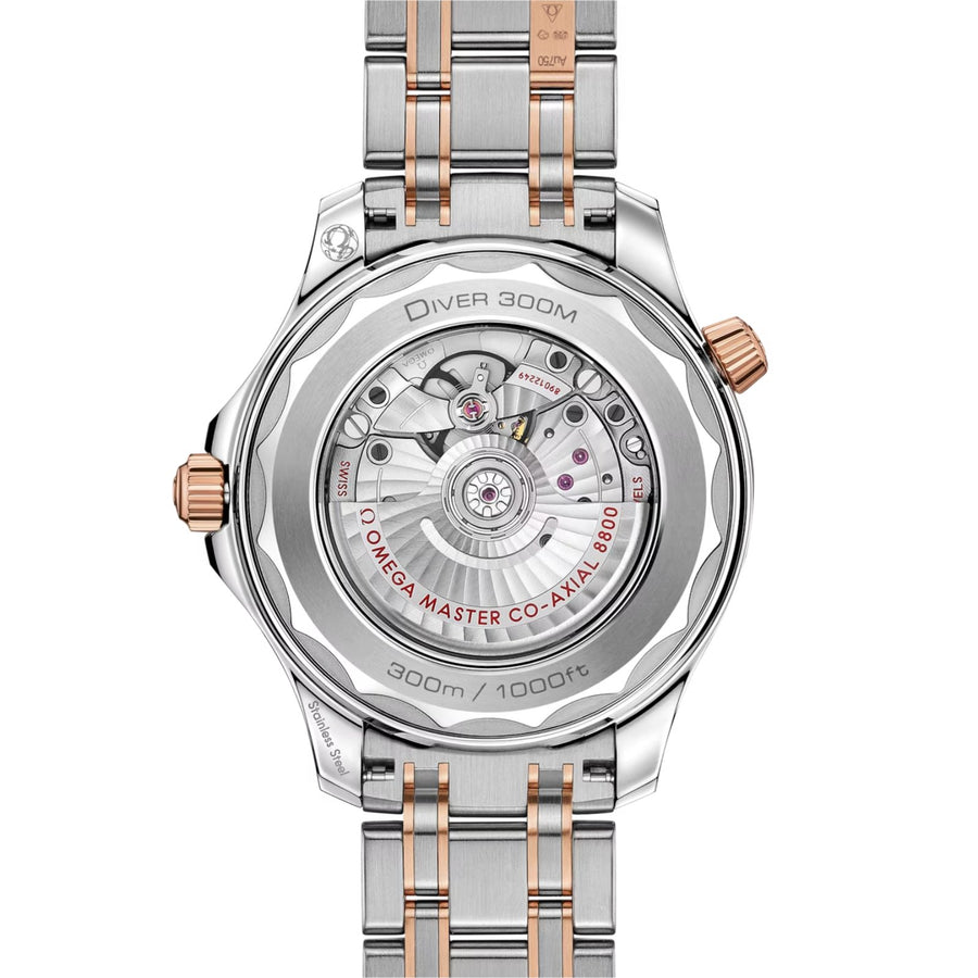 Omega Seamaster Diver 300 42mm - 210.20.42.20.03.002