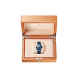 Omega Seamaster Diver 300 42mm-Omega Seamaster Diver 300 42mm - 210.32.42.20.03.001