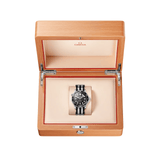 Omega Seamaster Diver 300m 42mm-Omega Seamaster Diver 300m 42mm - 210.32.42.20.01.005