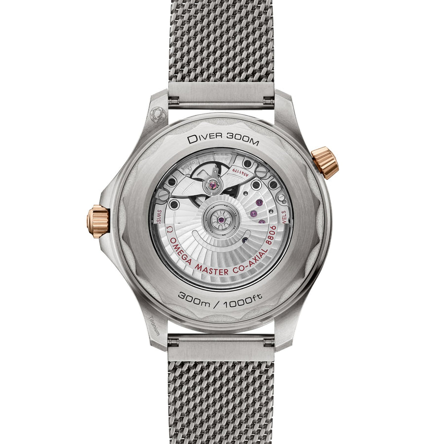Omega Seamaster Diver 300m 42mm - 210.90.42.20.10.001