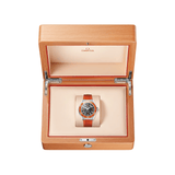 Omega Seamaster Planet Ocean 600m 42mm-Omega Seamaster Planet Ocean 600m 42mm - 217.32.42.21.01.004