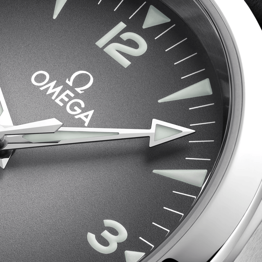 Omega Seamaster Railmaster 38mm - 235.12.38.20.06.001