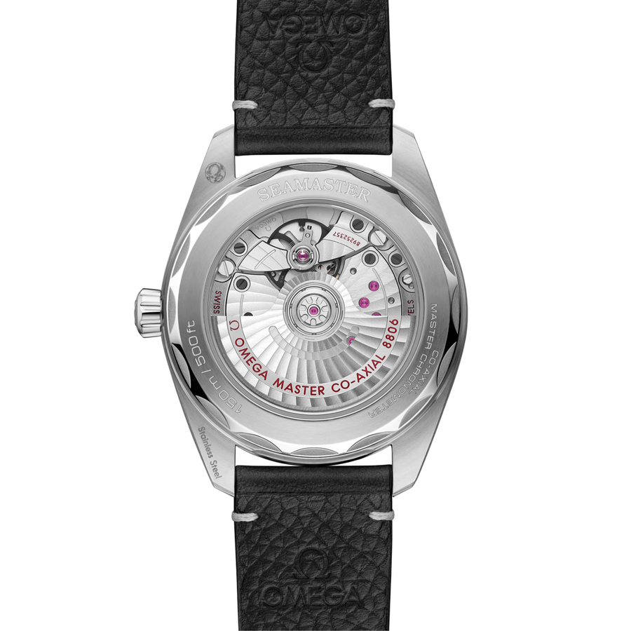 Omega Seamaster Railmaster 38mm - 235.12.38.20.06.001