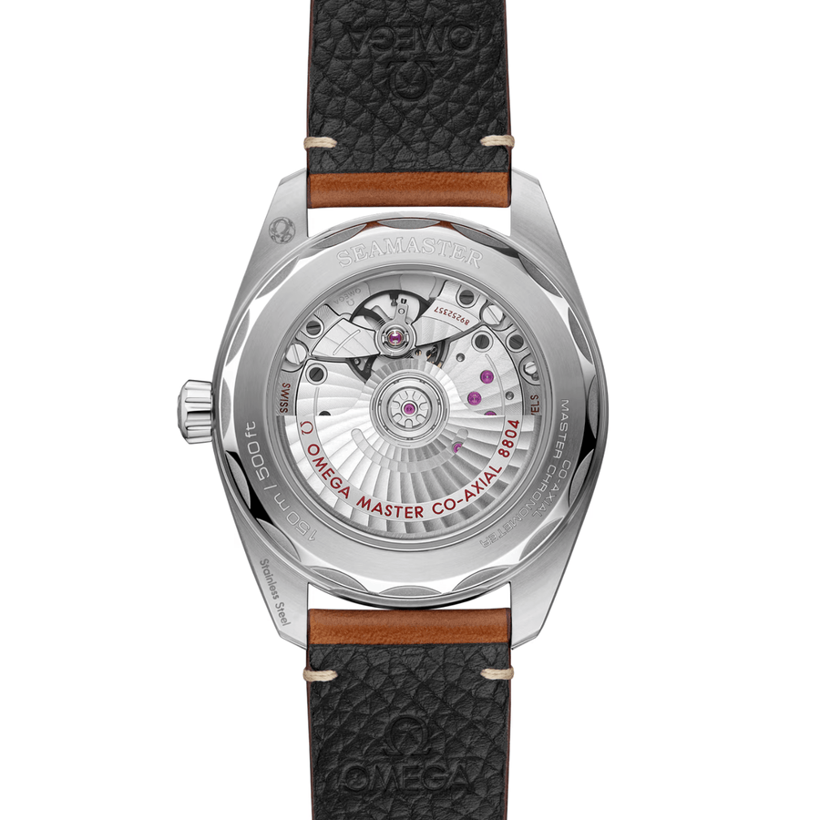 Omega Seamaster Railmaster 38mm - 235.12.38.20.13.001