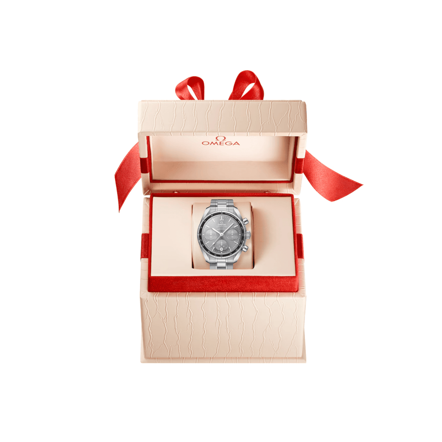 Omega Speedmaster 38 324.30.38.50.06.001