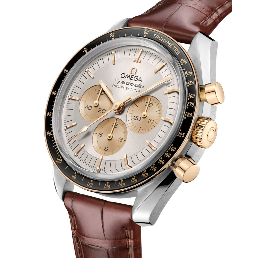 Omega Speedmaster Moonwatch Professional 42mm - 310.23.42.50.02.001