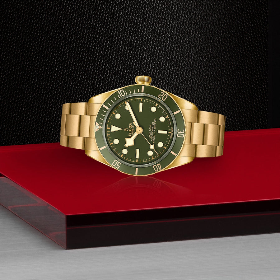 TUDOR Black Bay 58 18K - M79018V-0006