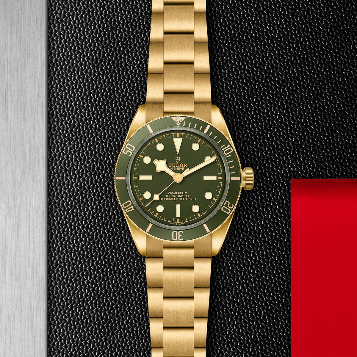 TUDOR Black Bay 58 18K - M79018V-0006