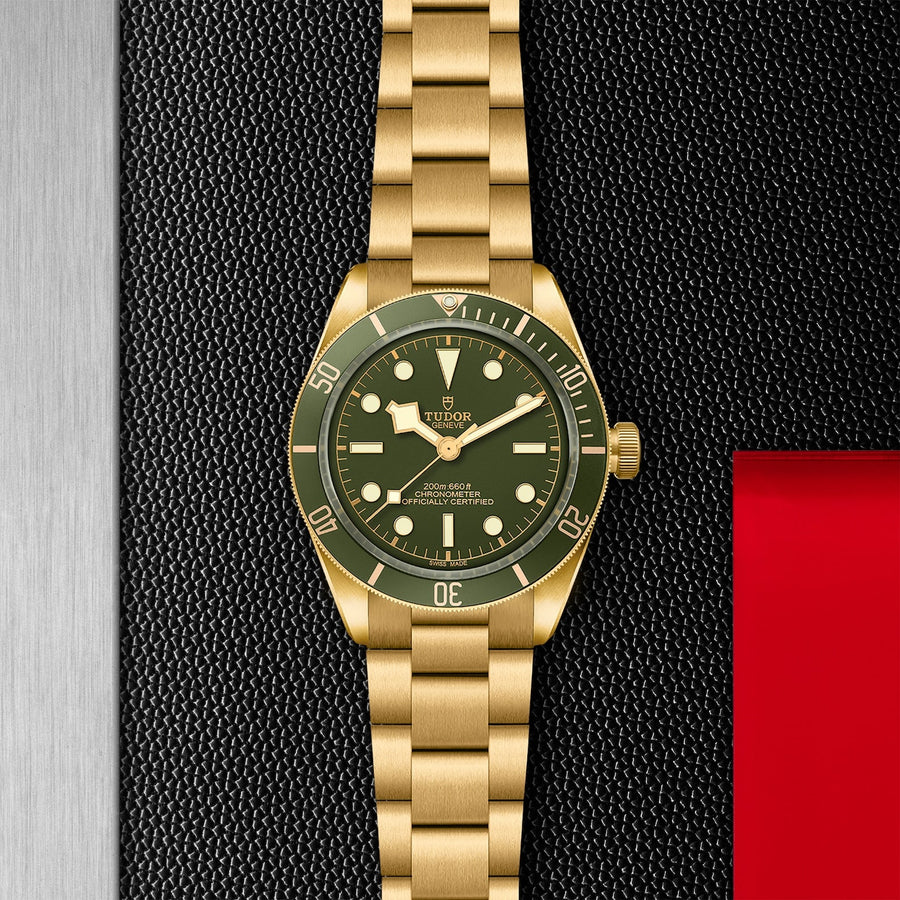 TUDOR Black Bay 58 18K - M79018V-0006