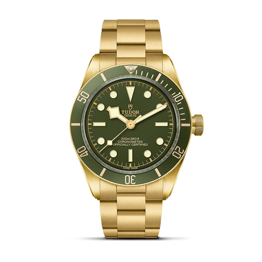 TUDOR Black Bay 58 18K - M79018V-0006
