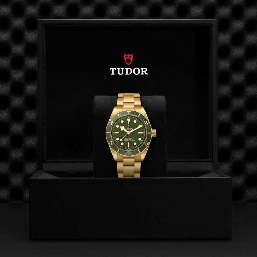 TUDOR Black Bay 58 18K - M79018V-0006