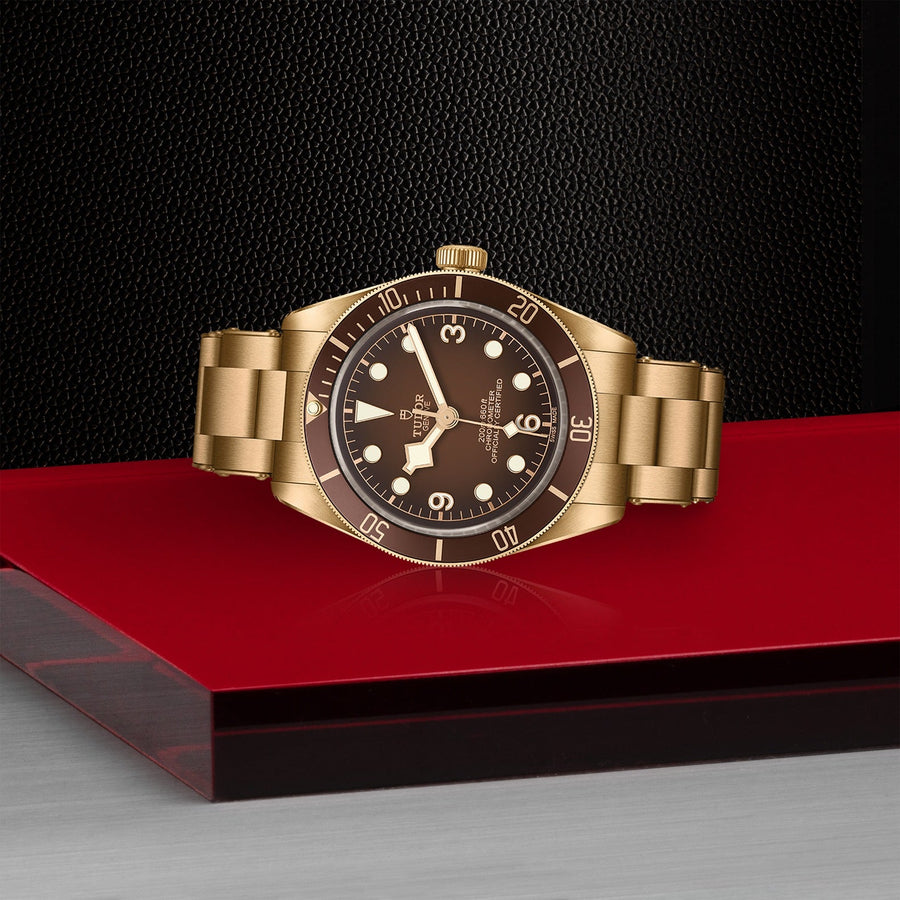 TUDOR Black Bay 58 Bronze - M79012M - 0001