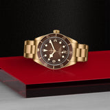 TUDOR Black Bay 58 Bronze-TUDOR Black Bay 58 Bronze - M79012M - 0001