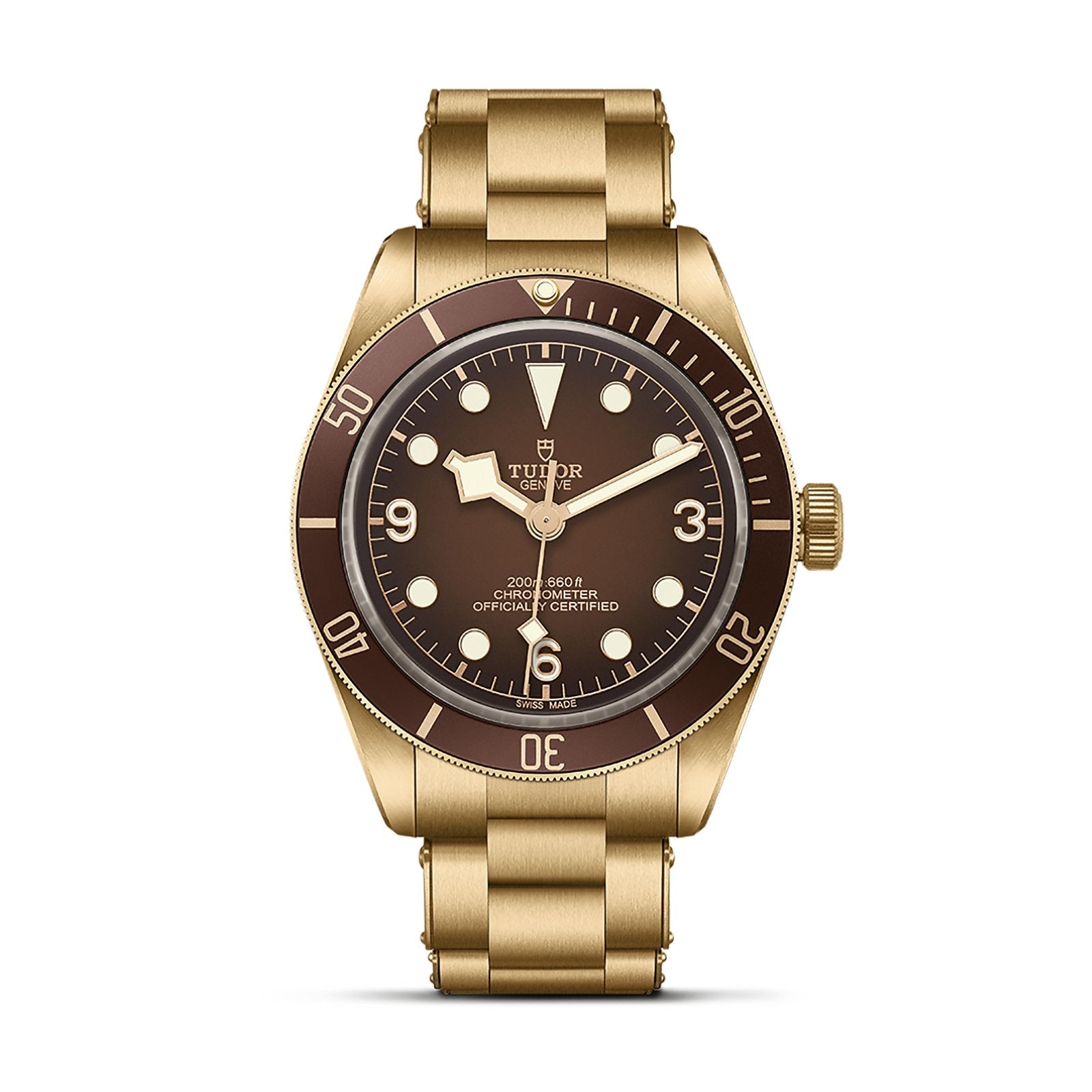 TUDOR Black Bay Chrono - M79360N-0006