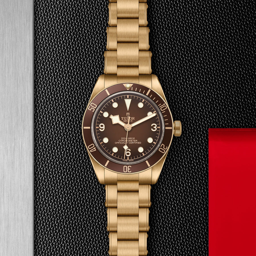 TUDOR Black Bay 58 Bronze - M79012M - 0001