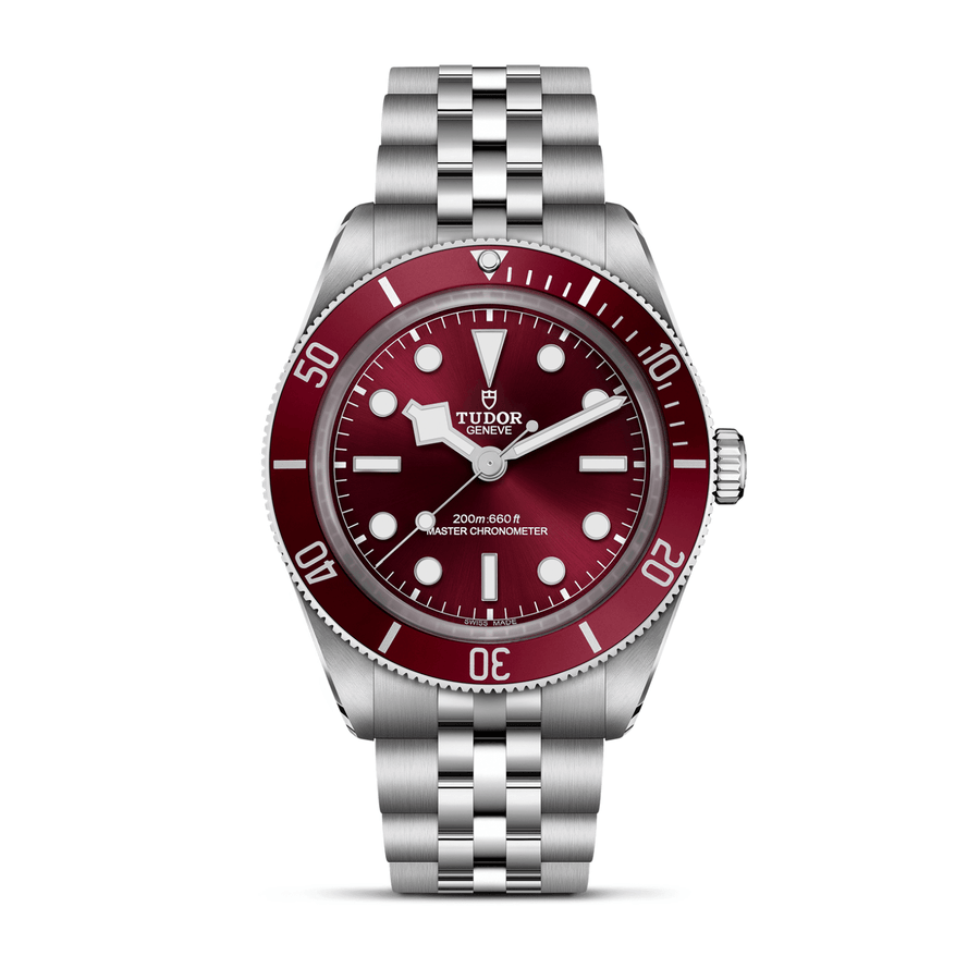 TUDOR Black Bay 58 Steel 39mm - M7939A1A0RU - 0001