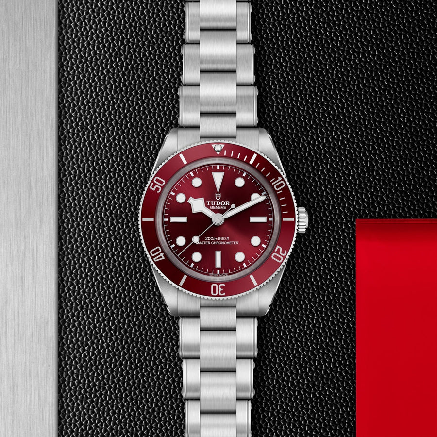 TUDOR Black Bay 58 Steel 39mm - M7939A1A0RU - 0002