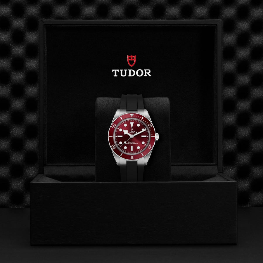 TUDOR Black Bay 58 Steel 39mm - M7939A1A0RU - 0003