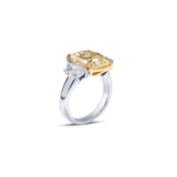 JB Star Diamond Engagement Ring-JB Star Diamond Engagement Ring -