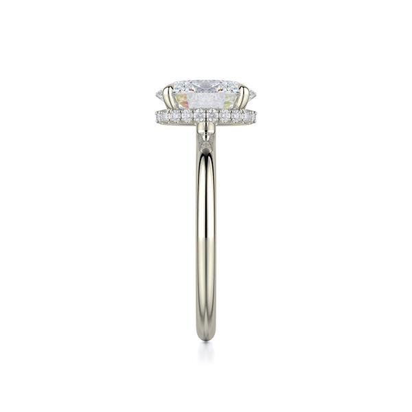 Michael M Diamond Mounting -