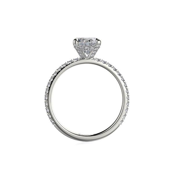 Michael M Diamond Mounting -
