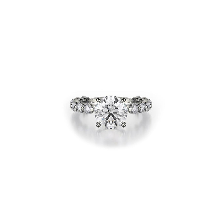 Michael M Diamond Mounting -