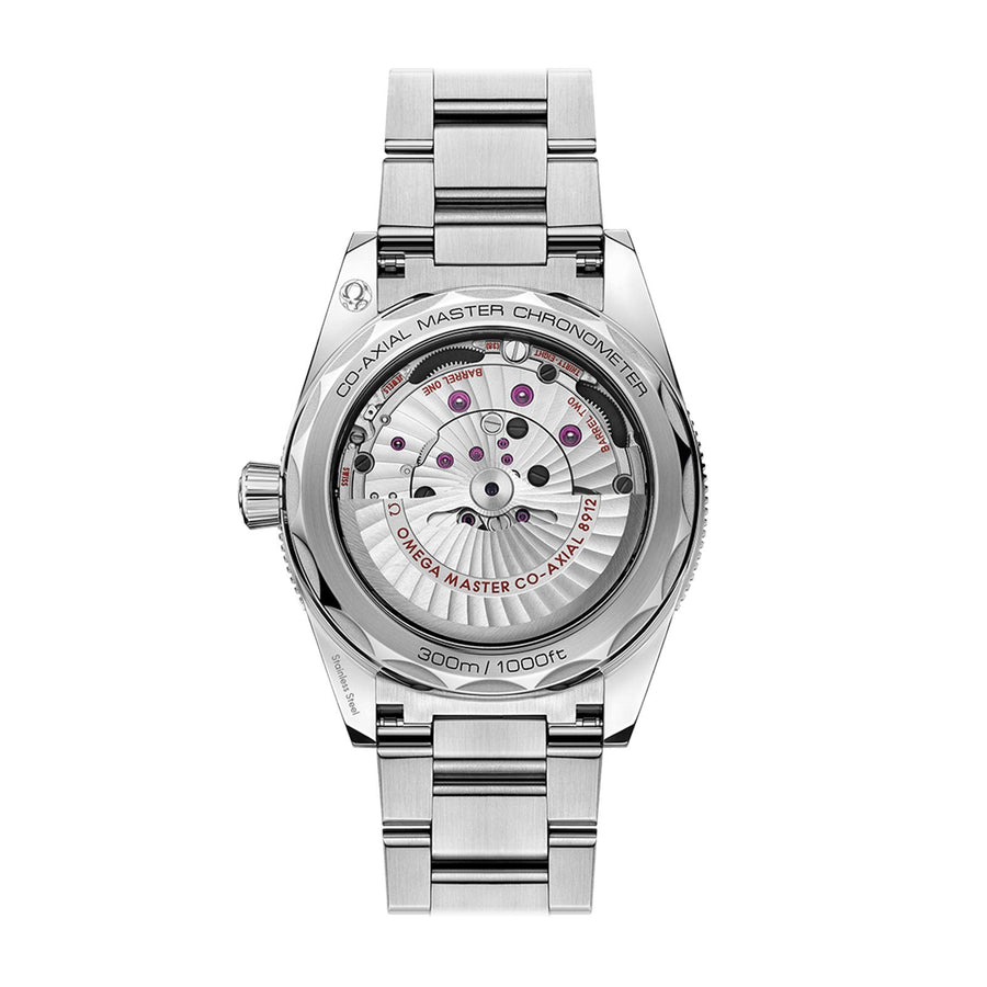 Omega Seamaster 300 Co-axial Master Chronometer in a 41mm stainless steel case with black dial on stainless steel bracelet, featuring an automatic movement.